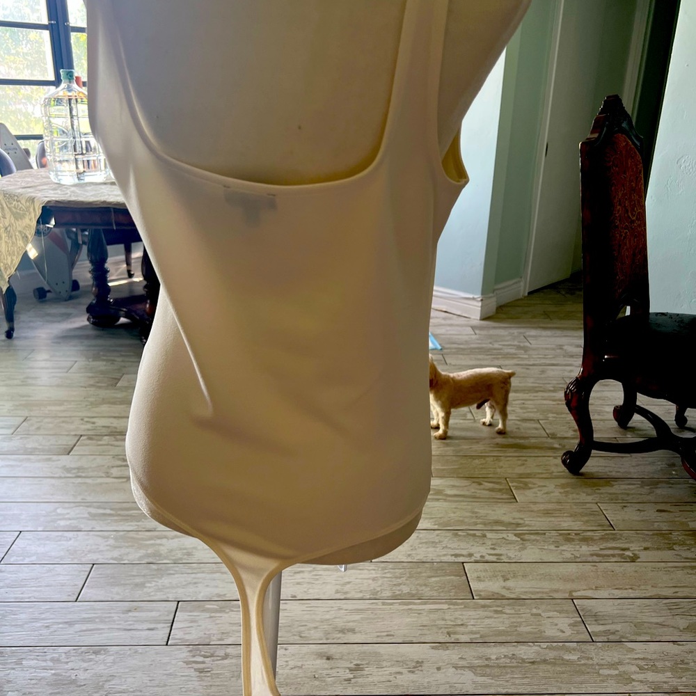 Brand new size Medium Express bodysuit, so sexy